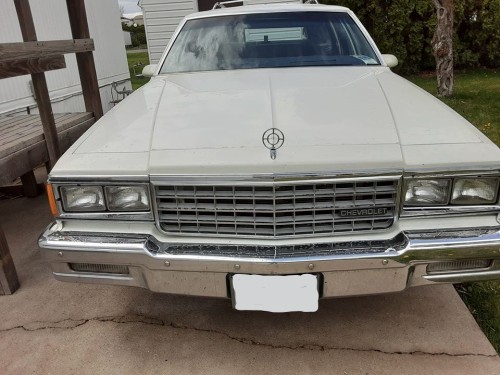 1983 Chevrolet Caprice Classic Station Wagon