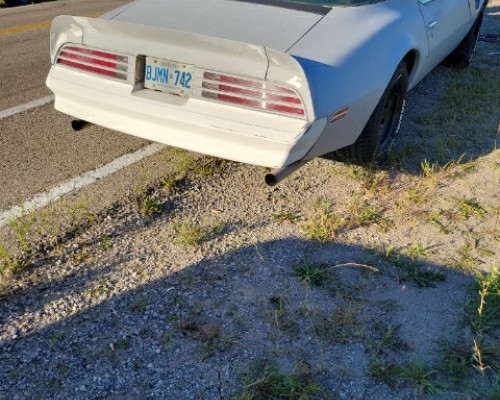 September 2022 mechanical fuel pump died. 2 guys stopped and helped me fix it roadkill style on side of road with a electrical pump from napa September 2022 mechanical fuel pump died. 2 guys stopped and helped me fix it roadkill style on side of road with a electrical pump from napa